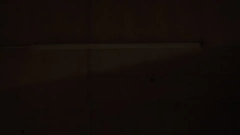 Fluorescent flickering and flashing Vidéo 219620368