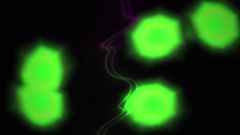 Fluorescent green bacteria cells under microscope. 스톡 동영상 337505348