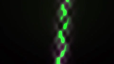 Fluorescent green bacteria under microscope. Stock Footage 335353520