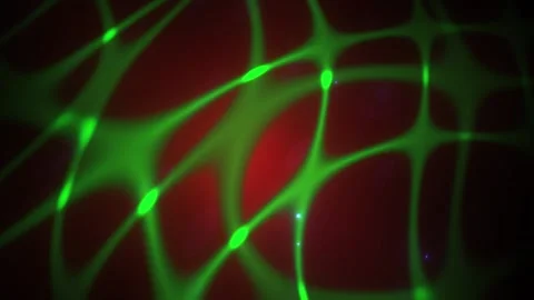 Fluorescent green cell structure network. Stock Footage 334872478