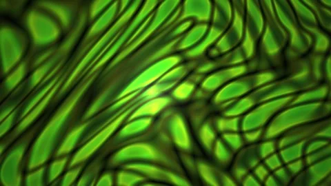 Fluorescent green cell structure patterns. Stock Footage 334670488