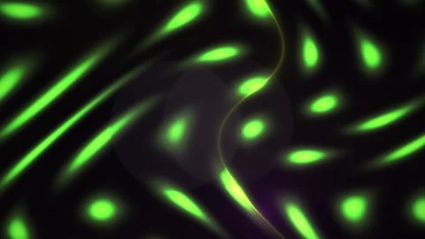 Fluorescent green cells in a black background. Stock Footage 336695103