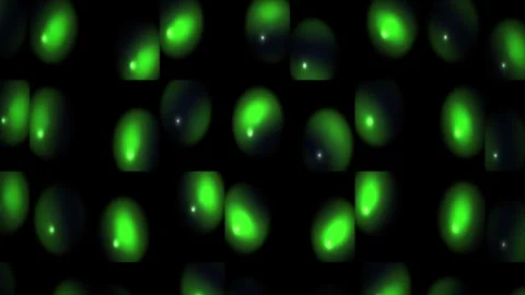 Fluorescent green cells under microscope. Stock Footage 333924764