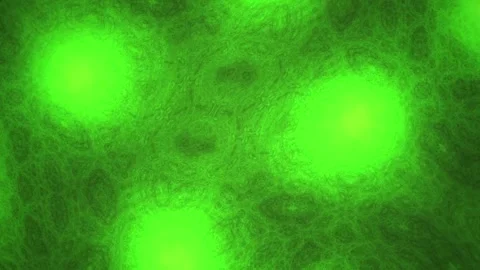 Fluorescent green cells under microscope. Stock Footage 334872540