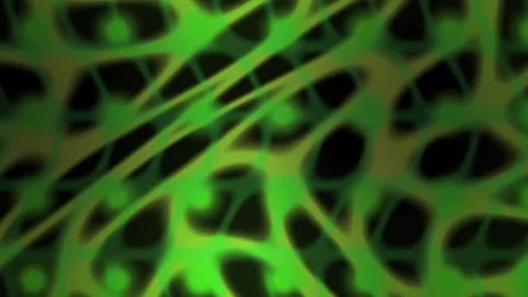 Fluorescent green cellular network pattern. Stock Footage 335949694