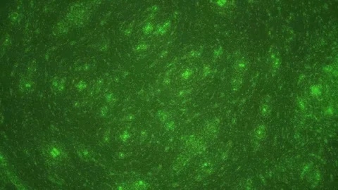 Fluorescent green microscopic cells pattern. Stock Footage 334334845
