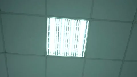 The fluorescent lamp on the ceiling turns completely on after awhile flickering Stock Footage 219748125