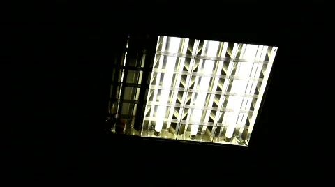 Fluorescent lamp Stock Footage 848039