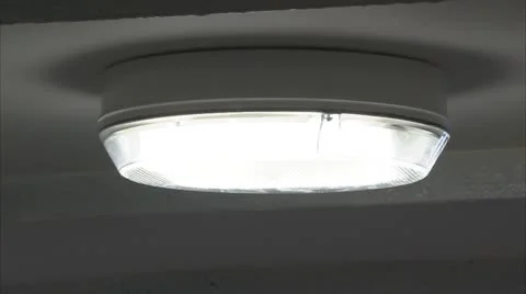 Fluorescent Light Fitting Video stock 8906732
