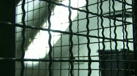 Fluorescent light focus pulling Stock Footage 20509646