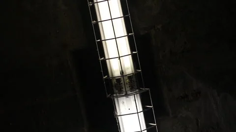 Fluorescent Light SLOW Video stock 245230089