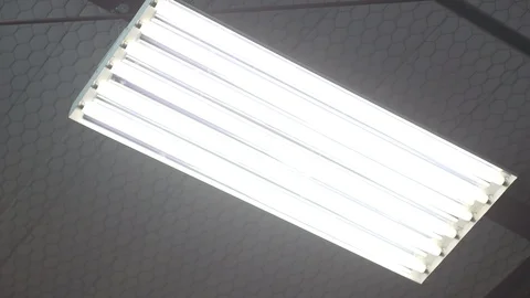 Fluorescent Lights on Ceiling Flickering HD Video Stockbeeldmateriaal 91791183
