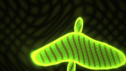 Fluorescent microscopic view of bacteria. Stock Footage 337459798
