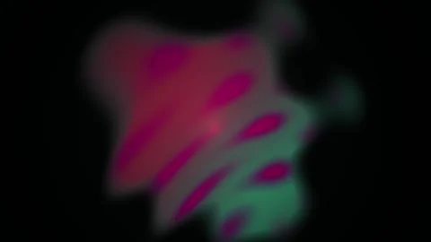 Fluorescent Microscopy Cell Division Stages. Stock Footage 333924722