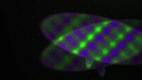 Fluorescent Microscopy Cell Imaging. Stock Footage 337505345
