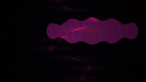 Fluorescent microscopy of cells. Stock Footage 337459698