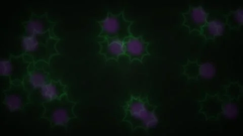 Fluorescent Microscopy Cells in Petri Dish. Stock Footage 337459776