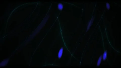 Fluorescent Microscopy Imaging of Cellular Structures and Nuclei in Laborat.. Vídeos de archivo 341806405