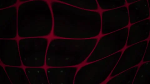 Fluorescent Microscopy of Moving Cellular Network with Red and Green Details 스톡 동영상 343698400