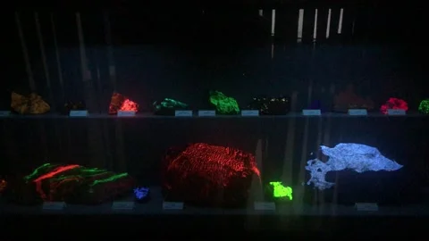Fluorescent Minerals Stock Footage 162825586