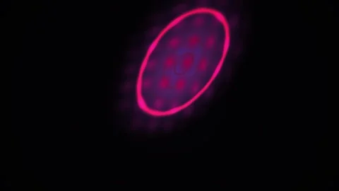 Fluorescent pink cell nucleus animation. Stock Footage 335108438