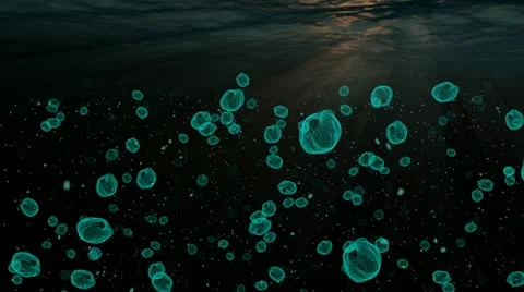 Fluorescent Plankton Bloom HD Loop Stock-Footage 12158504