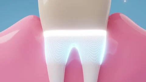 Fluoride protecting teeth and gums 動画素材 246614286
