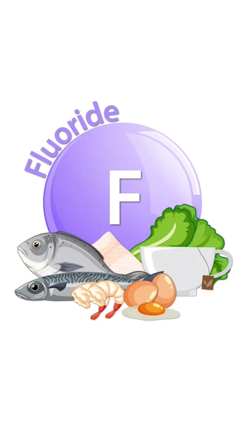 Fluoride Sources Animation With Fish, Eggs, and Vegetables Vidéo 315015064
