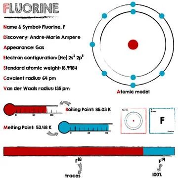 Fluorine element infographic Stock Illustration