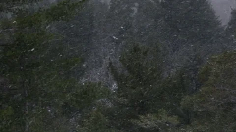 Flurries in the air Stock Footage 37232511