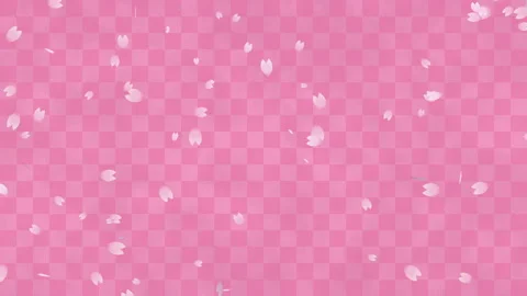 Flurry of cherry blossoms on pink checkered pattern (seamless loop) Stock Footage 168482272