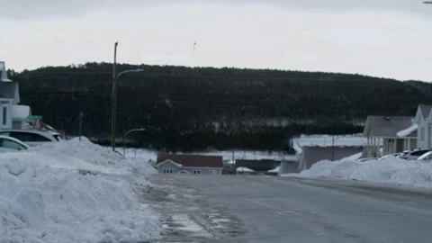 Flurry Hillside Stock Footage 260932651