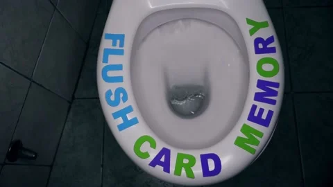 Flush card memory text phrase on rim of toilet seat. Digital data lost concept Video stock 239480778