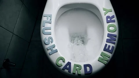 Flush card memory text phrase on rim of toilet seat. Digital data lost concept Video stock 239481200