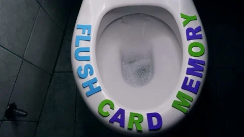 Flush card memory text phrase on rim of toilet seat. Digital data lost concept Video stock 239482495