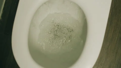 Flush down the toilet Banknotes and bag counter, Specialised police officer Stock Footage 309635831