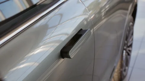 Flush Mounted Door Handle Design Vidéo 321894523