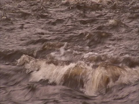 Flush stream Stock Footage 2316021