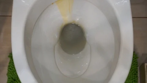 Flush the toilet 2 Stock Footage 100405915
