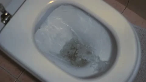 Flush the toilet Vidéo 12043703