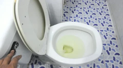 Flush toilet Stock Footage 22249397