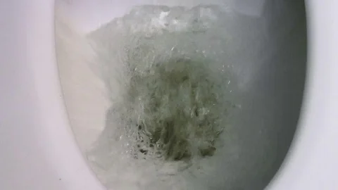 Flush the toilet Stock Footage 78419575