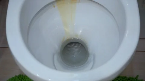 Flush the toilet Vídeos de archivo 100405941