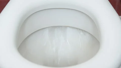 Flush the toilet. Stock Footage 134324778