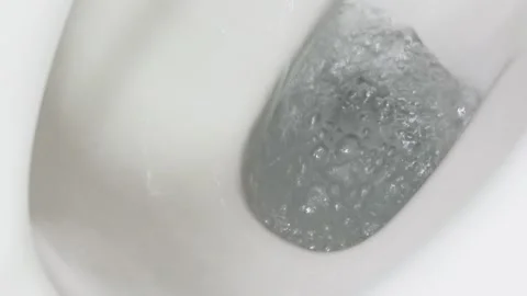 Flush Toilet Stock-Footage 333664124