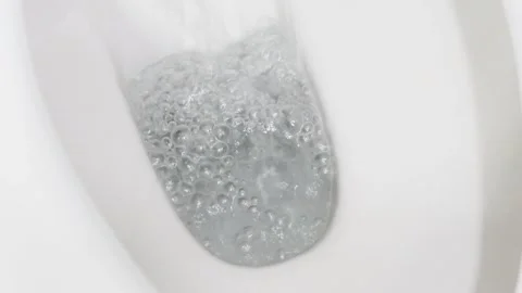 Flush Toilet Stock-Footage 333664187