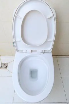 Flush toilet Stock-Fotos