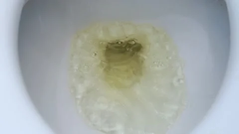 Urinating In Toilet Stock Videos – Royalty-Free HD & 4K Videos