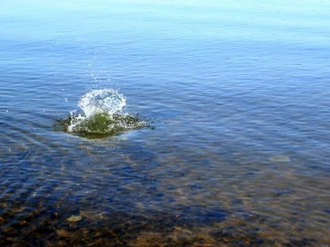 Flushes on the water Foto stock