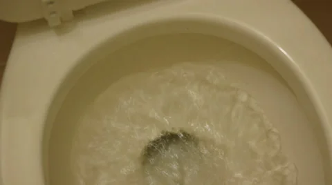 Flushing A Beige Toilet Vídeo Stock 31242959
